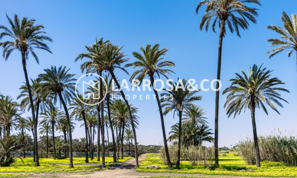 A Vendre - Apartment - Torrevieja - La veleta