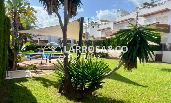 A Vendre - Penthouse  - Orihuela costa - La Ciñuelica