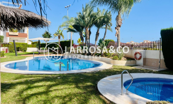 A Vendre - Penthouse  - Orihuela costa - La Ciñuelica