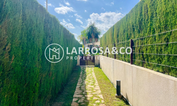 A Vendre - Penthouse  - Orihuela costa - La Ciñuelica