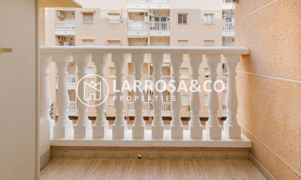 Вторичный рынок - Квартира - Торревьеха - Centro