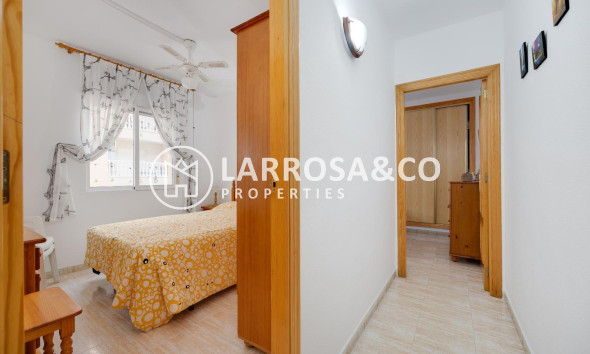 Вторичный рынок - Квартира - Торревьеха - Centro