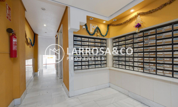 Вторичный рынок - Квартира - Торревьеха - Centro