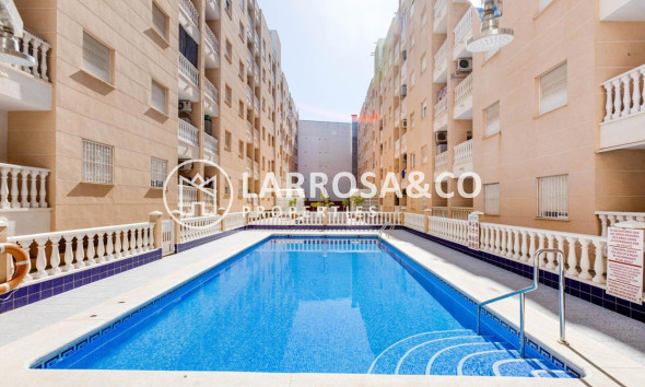 Вторичный рынок - Квартира - Торревьеха - Centro