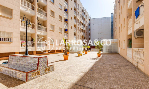 Вторичный рынок - Квартира - Торревьеха - Centro