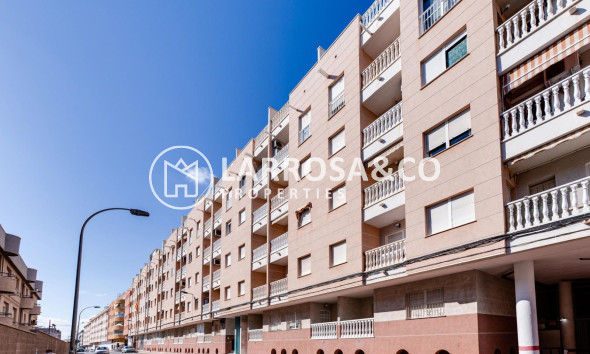 Вторичный рынок - Квартира - Торревьеха - Centro