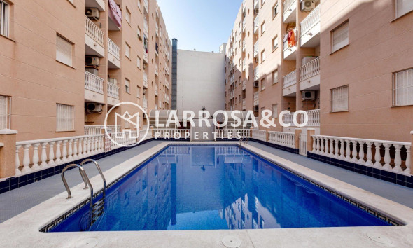 Вторичный рынок - Квартира - Торревьеха - Centro