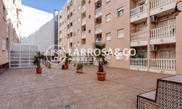 Вторичный рынок - Квартира - Торревьеха - Centro