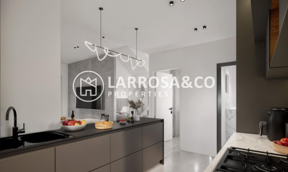 New build - Detached House/Villa - Los Montesinos - La Herrada