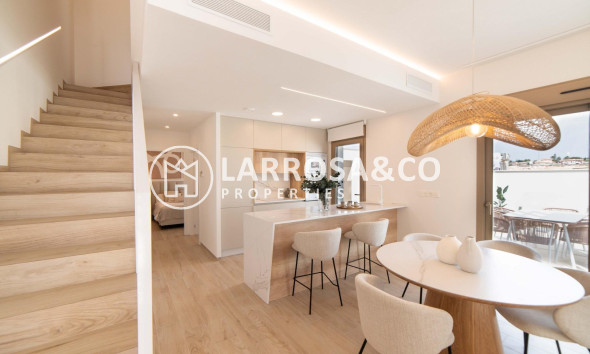 New build - Detached House/Villa - Ciudad Quesada - Lo Marabú