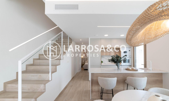 New build - Detached House/Villa - Ciudad Quesada - Lo Marabú