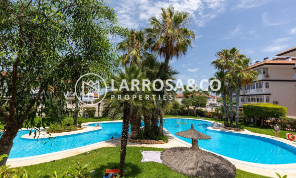 Resale - Apartment - Torrevieja - Estacion de autobuses