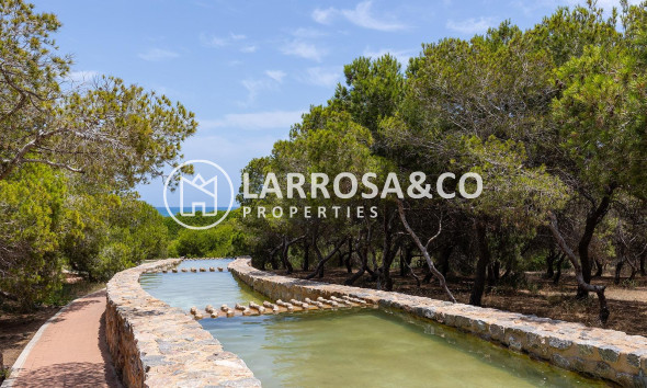 Resale - Apartment - Torrevieja - Estacion de autobuses