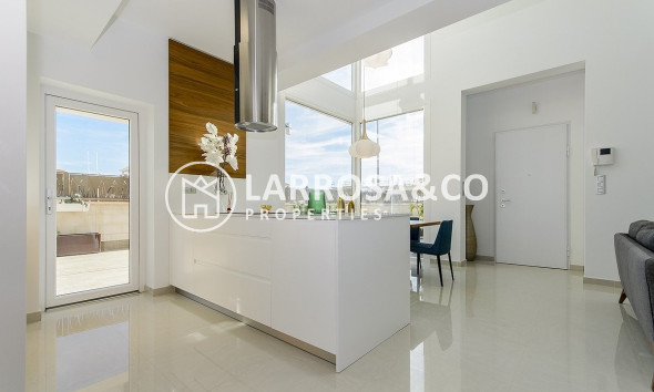 Obra Nueva - Chalet - Los Montesinos - La Herrada