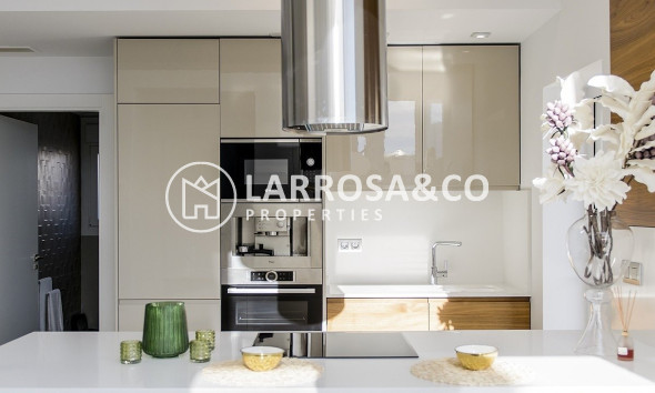 Obra Nueva - Chalet - Los Montesinos - La Herrada