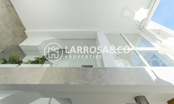 Obra Nueva - Chalet - Los Montesinos - La Herrada