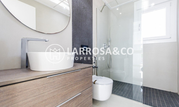 Obra Nueva - Chalet - Los Montesinos - La Herrada