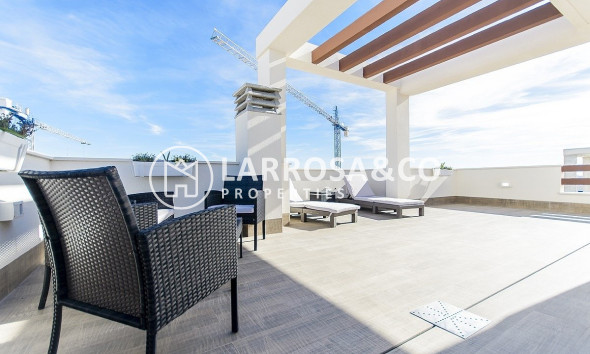 Obra Nueva - Chalet - Los Montesinos - La Herrada