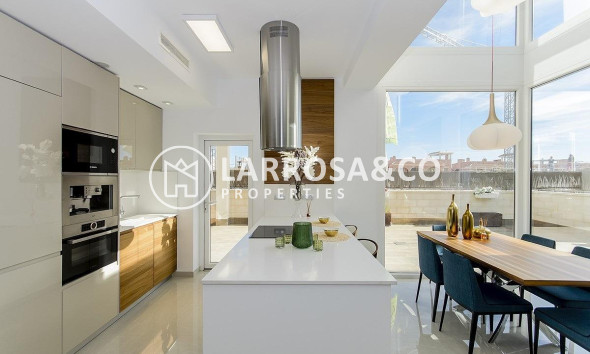 Obra Nueva - Chalet - Los Montesinos - La Herrada