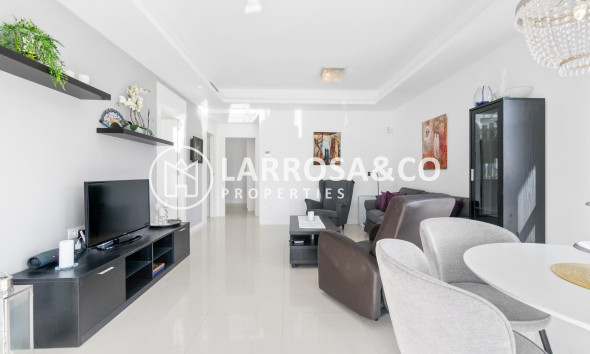 Reventa - Chalet - Ciudad Quesada - Lo marabú