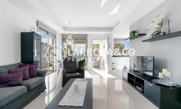 Reventa - Chalet - Ciudad Quesada - Lo marabú