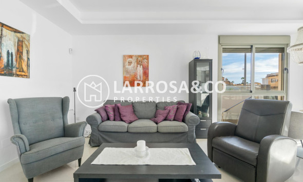 Reventa - Chalet - Ciudad Quesada - Lo marabú