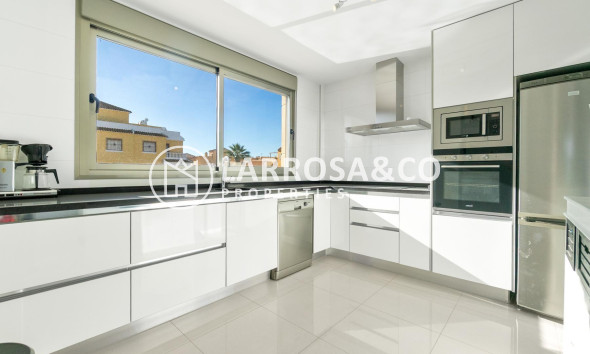 Reventa - Chalet - Ciudad Quesada - Lo marabú