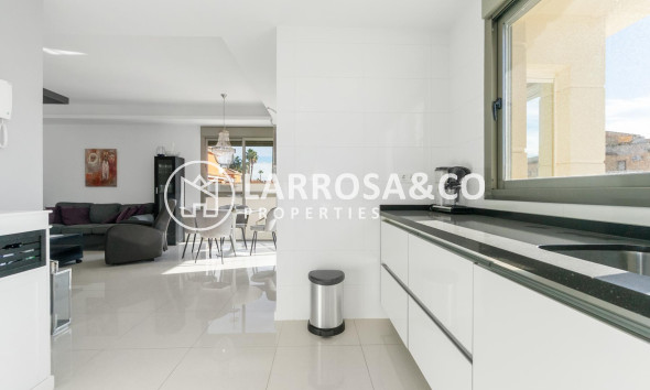 Reventa - Chalet - Ciudad Quesada - Lo marabú