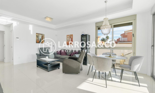 Reventa - Chalet - Ciudad Quesada - Lo marabú