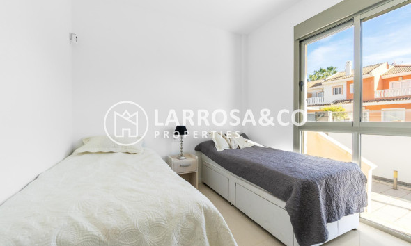 Reventa - Chalet - Ciudad Quesada - Lo marabú