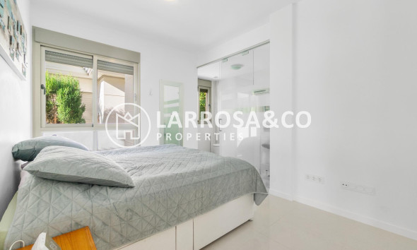 Reventa - Chalet - Ciudad Quesada - Lo marabú