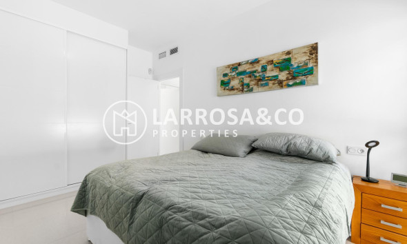 Reventa - Chalet - Ciudad Quesada - Lo marabú