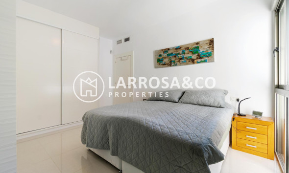 Reventa - Chalet - Ciudad Quesada - Lo marabú