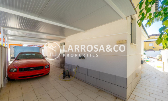 Reventa - Chalet - Ciudad Quesada - Lo marabú