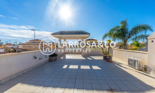 Reventa - Chalet - Ciudad Quesada - Lo marabú