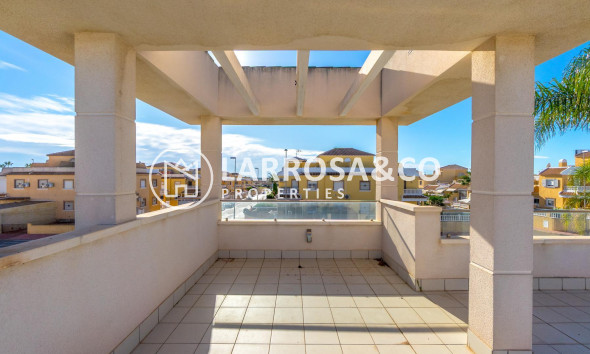 Reventa - Chalet - Ciudad Quesada - Lo marabú