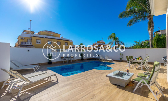 Reventa - Chalet - Ciudad Quesada - Lo marabú