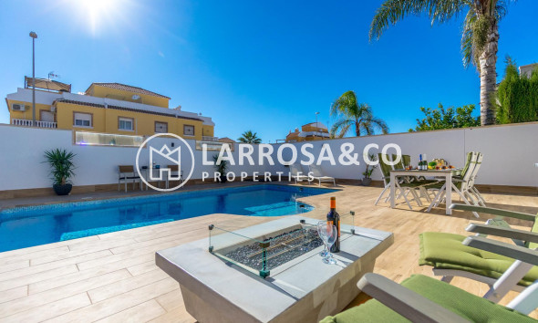 Reventa - Chalet - Ciudad Quesada - Lo marabú