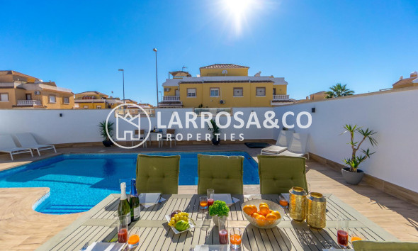 Reventa - Chalet - Ciudad Quesada - Lo marabú