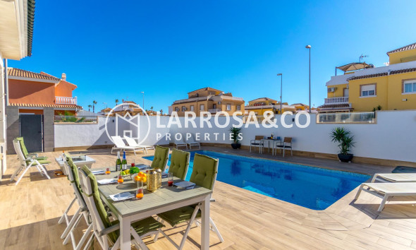 Reventa - Chalet - Ciudad Quesada - Lo marabú