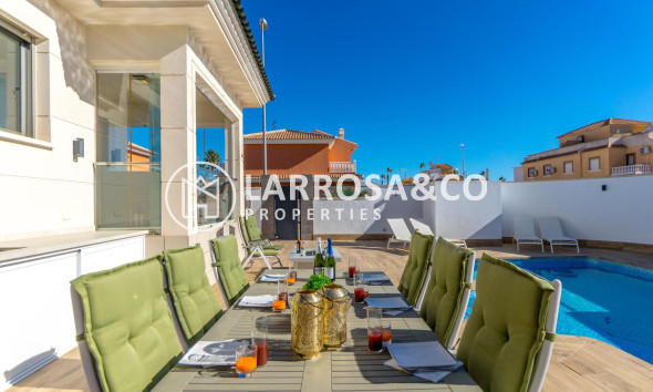 Reventa - Chalet - Ciudad Quesada - Lo marabú