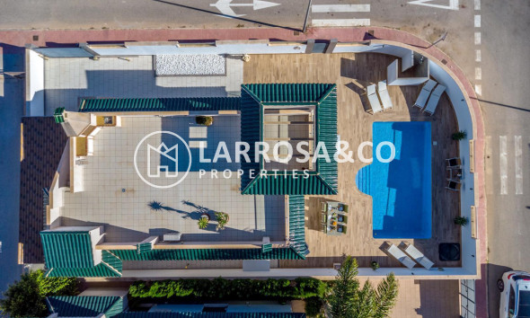 Reventa - Chalet - Ciudad Quesada - Lo marabú