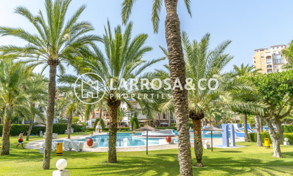 Вторичный рынок - Пентхаус - Торревьеха - Пляж Лос Локос