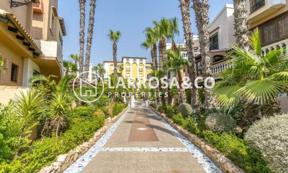 Вторичный рынок - Пентхаус - Торревьеха - Пляж Лос Локос