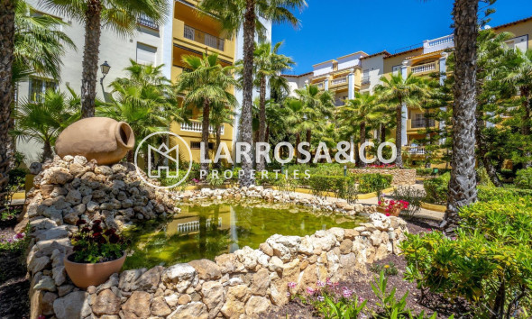 Вторичный рынок - Пентхаус - Торревьеха - Пляж Лос Локос