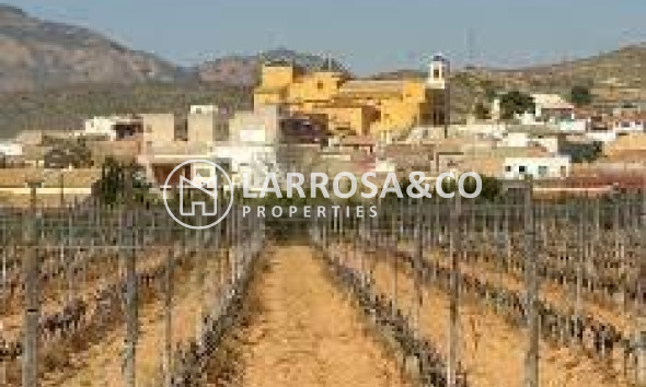 New build - Bungalow - Hondon de las Nieves - El Salero