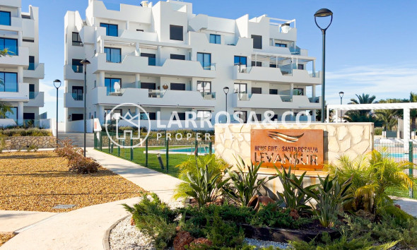Reventa - Apartamento - Santa Rosalia