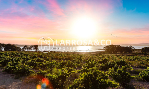 A Vendre - Semi-detached house - Torrevieja - El limonar