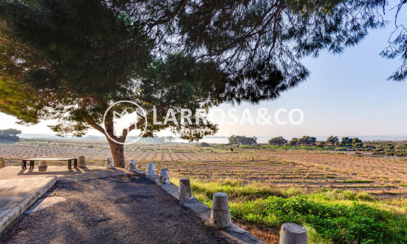 A Vendre - Semi-detached house - Torrevieja - El limonar