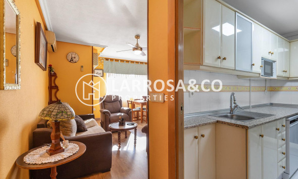 Вторичный рынок - Квартира - Торревьеха - Estacion de autobuses